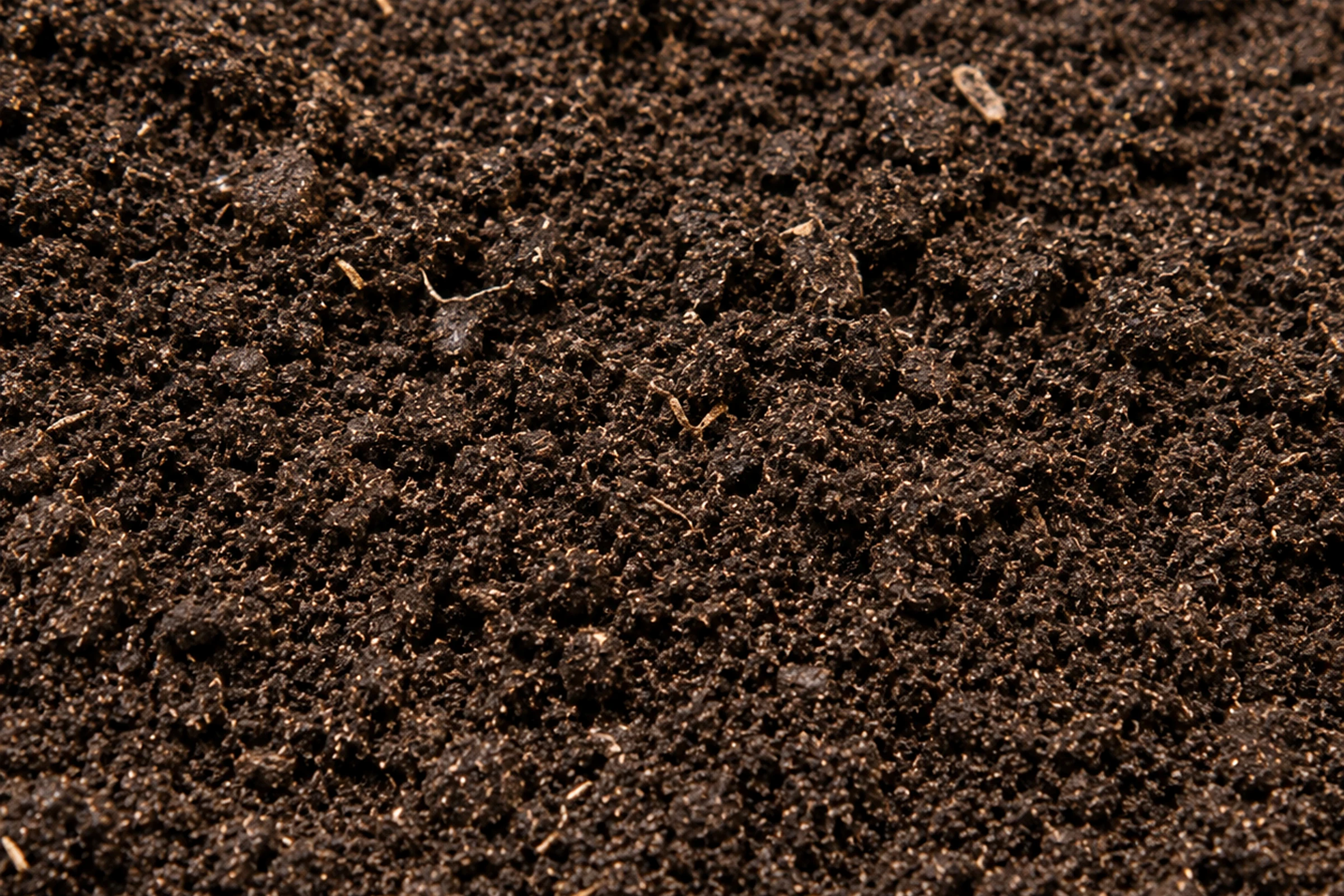 Screened top soil